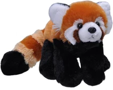 Red Panda Plush, Stuffed Animal, Plush Toy, Gifts for Kids, Cuddlekins, 8 Inches
