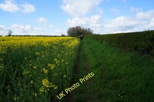 Photo 6x4 Path leading to Carr Lane, Seaton Ross  c2015
