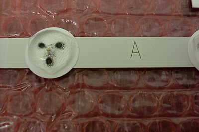 STRISCIA STRIP LED Retroilluminazione TV USB RGB IP65 2m 3m 5m Auto - Foto 9