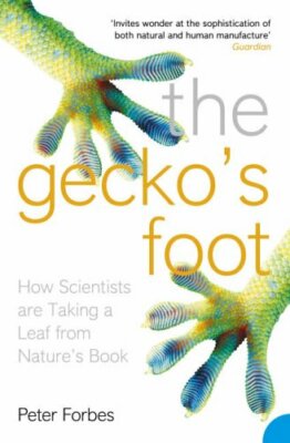 The Gecko's Foot: How Scientists are Taking a Leaf from Nature's