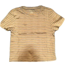 NWOT American Eagle Outfitters Striped Crop Tee Women's - Tan