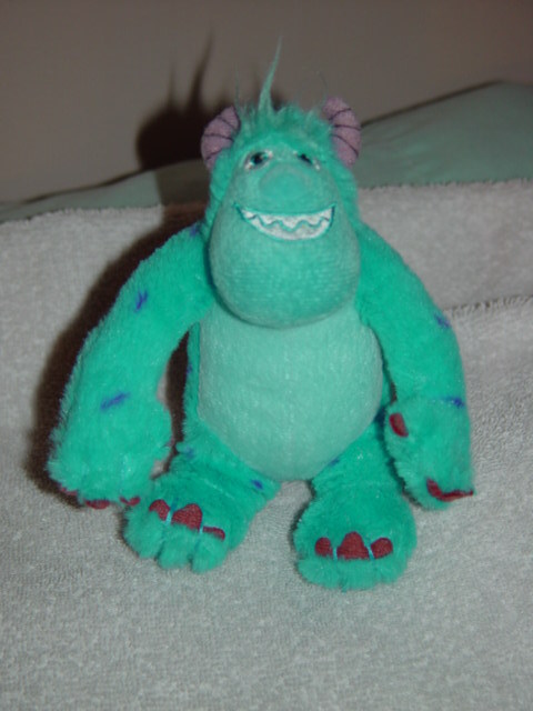 Picture 3 of 12