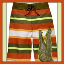 NWT Boys 5 Gymboree Multi-Color STRIPE ALLIGATOR SWIM TRUNKS Mesh Insert Elastic