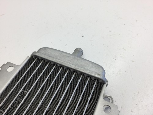 RADIATORE SINISTRO DESTRO PIAGGIO VESPA GTS IE E4 300 2016 2018 N.D - Foto 8 di 9