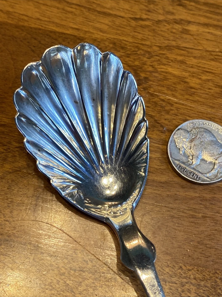 Antique Scalloped Shell Coin Silver Sugar Spoon C.C. Shaver, 20 grams w/ Mono - Image 3 of 4