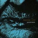 Say Just Words [Vinyl Single] von Paradise Lost | CD | Zustand gut