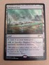 MTG Blighted Fen (Foil) [Friday Night Magic 2016, 