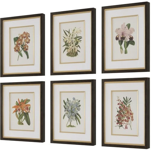 Uttermost 32447 Orchid 24.5 X 20.5 inch Botanical Framed Prints, Set of 6 - Picture 2 of 6