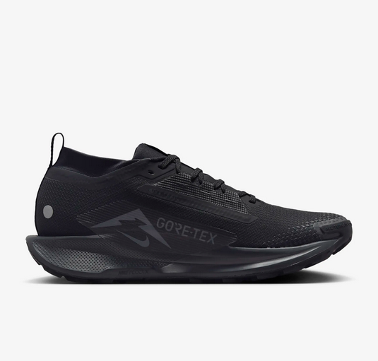 ◆正規品◆NIKE PEGASUS TRAIL 5 GTX BLACK(W)◆関税込◆人気◆ Nike Pegasus Trail 5 GORE-TEX Men's Waterproof Trail Running