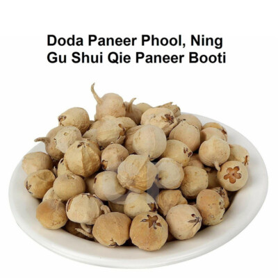 Indian Rennet Withania Coagulans Doda Paneer Phool Paneer Booti 100gm (3.5 OZ)'
