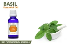 Basil Essential Oil 100% Pure Natural Aromatherapy UNCUT Therapeutic Grade Oils