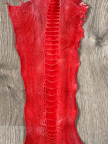 GENUINE OSTRICH LEG SKIN LEATHER HIDE EXOTIC LEATHER - Picture 6 of 6
