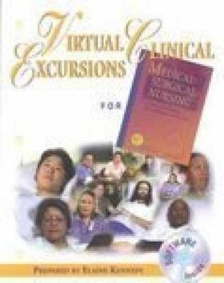 Virtual Clinical Excursions - Paperback, by Ignatavicius MS RN - Acceptable n
