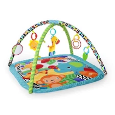 Zippy Zoo Activity Gym