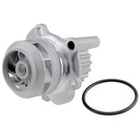NTY Wasserpumpe FüR Renault Twingo II CN0_ 1.2 16V Clio III BR0/1 CR0/1 Bh_