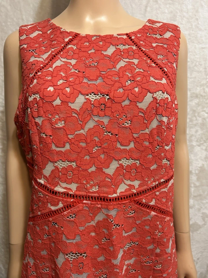 Платье для официальных приемов Ivanka Trump Burnt Orange кружевное миди размер 14 зубчатый подол - Изображение 3 из 4