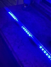 reefbrite 36inch blue LED light  saltwater reef tank