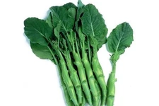 Big Stem Chinese Broccoli Seeds Non-GMO Heirloom, Includes Tracking