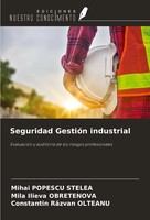 Seguridad GestióN Industrial EvaluacióN Y AuditoríA De Los Riesgos Profesionales