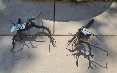 2x Sera Scaper Root XS Wurzel 28x15x9cm + 22x17x12cm Holz für Garnelen Aquarium