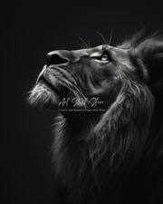 Digital Image Picture Photo Wallpaper Background  Desktop  Art Ai - Lion