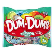 DUM DUMS LIMITED EDITION TROPICAL FLAVOR MIX LOLLIPOPS 16 OZ EACH (1)