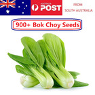 900+ Baby Bok Choy Seeds Asian Vegetable Garden Pak Choi Australia 小白菜 上海青 Hardy