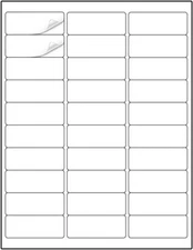 Address Labels 1" x 2-5/8" 6000 Labels Sticker Paper for Laser/Ink Jet Printer