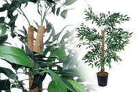 KüNstlicher Ficus GrüN 100 Cm Kunstpflanze Kunstbaum Echtholzstamm Mcpalms