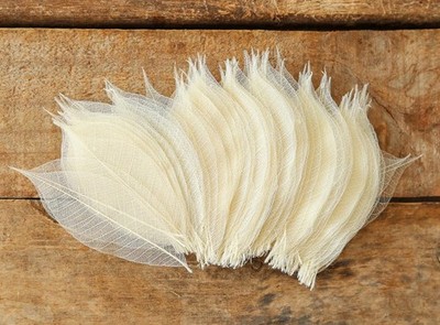 DUONGJAIS BRAND Real Leaves Natural Color 100 Pcs 4-5 Inches Color. 
