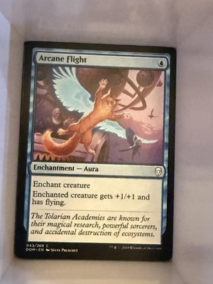 Dominaria #43 Arcane Flight