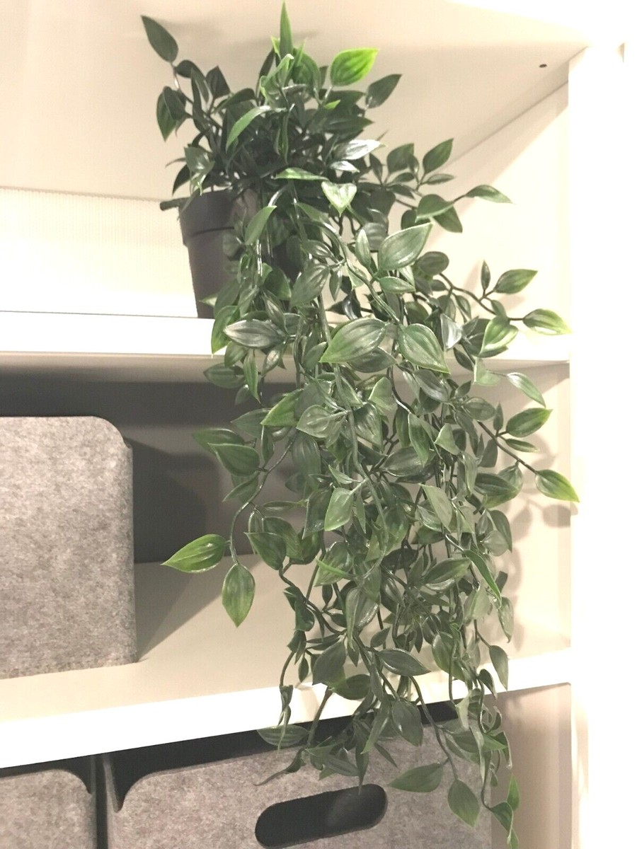 IKEA フェイクグリーン FEJKA オーガスタ IKEA フェイクグリーン FEJKA オーガスタ FEJKA フェイカ 人工観葉植物