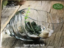 Home Essentials & Beyond Botanical Terrarium Kit/Sand, Seashells & Succulents