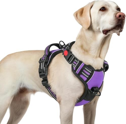 Harnais de prestige rembourré pour grand chien, finitions soignées et confort ergonomique S