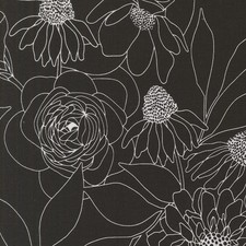 Botany Black By the yard x 108 wide Quilt backing Alli K Design