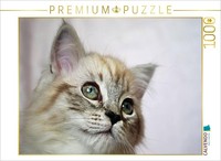 Calvendo Puzzle Enchanting | 1000 Pieces, Finished Size 25.2 × 18.9 In (64 × 48