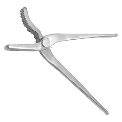 Hoof Clincher 12-Inch   Professional Chrome Vanadium Steel Farrier Tool | Hor...