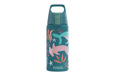 SIGG Trinkflasche Kinder Shield Therm One Blue World 0.5 L
