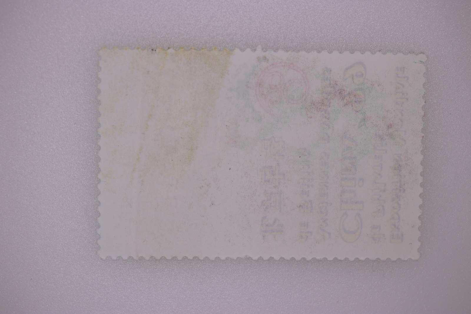 Picture 2