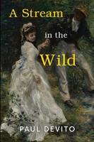 A Stream In The Wild Paul Devito Taschenbuch Englisch 2024 Olympia Publishers