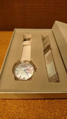 citizen ff14 watch