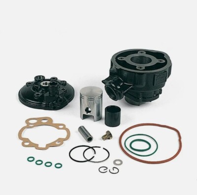 Cylindre Fonte 49 Cm3 Pour Minarelli AM6, Sherco, Rieju, Beta 50, TZR 50