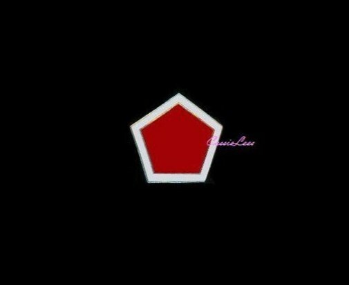 USA 5th Regt. Cbt. + a custom promo pin