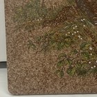 Picture 4 of 7