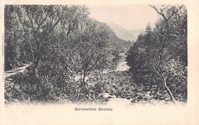 POSTKARTE - LAKE DISTRICT - BORROWDALE BIRKEN - VALENTINSTAG - UNGETEILTE RÜCKSEITE