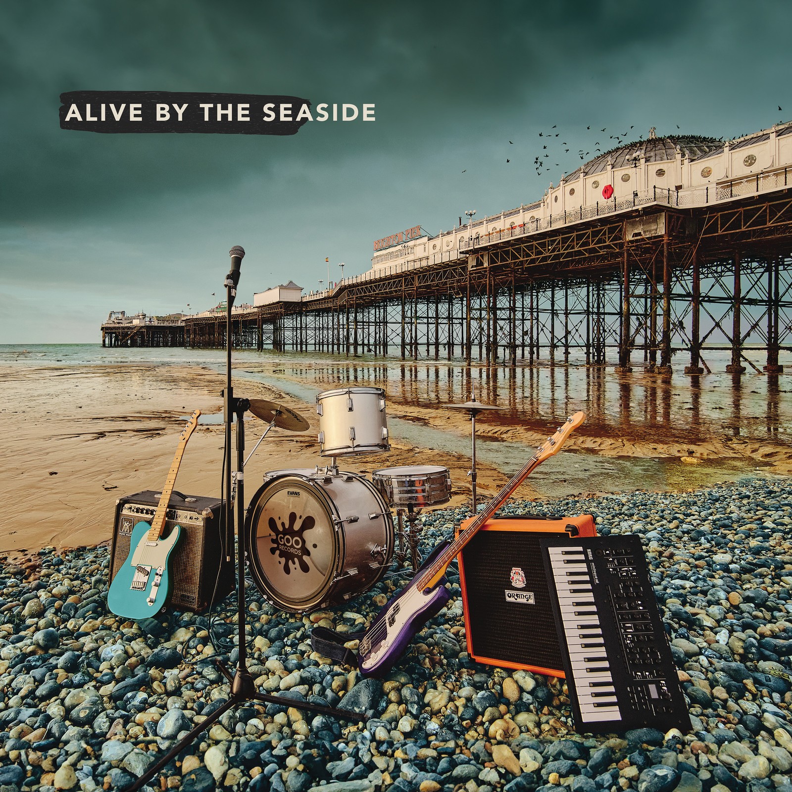 Alive By the Seaside - Various Artists (Goo Records) Vinyl 12"" Album