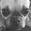daisys_dungeon