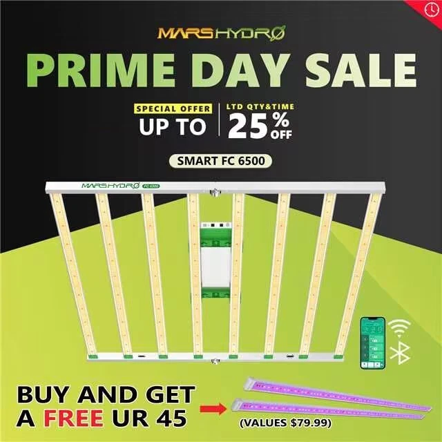 Mars Hydro FC 6500 Led Grow Light SamsungLM301B Commercial Greenhouse  Indoor Kit