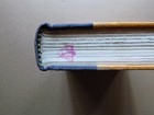 Bild 8 von 10