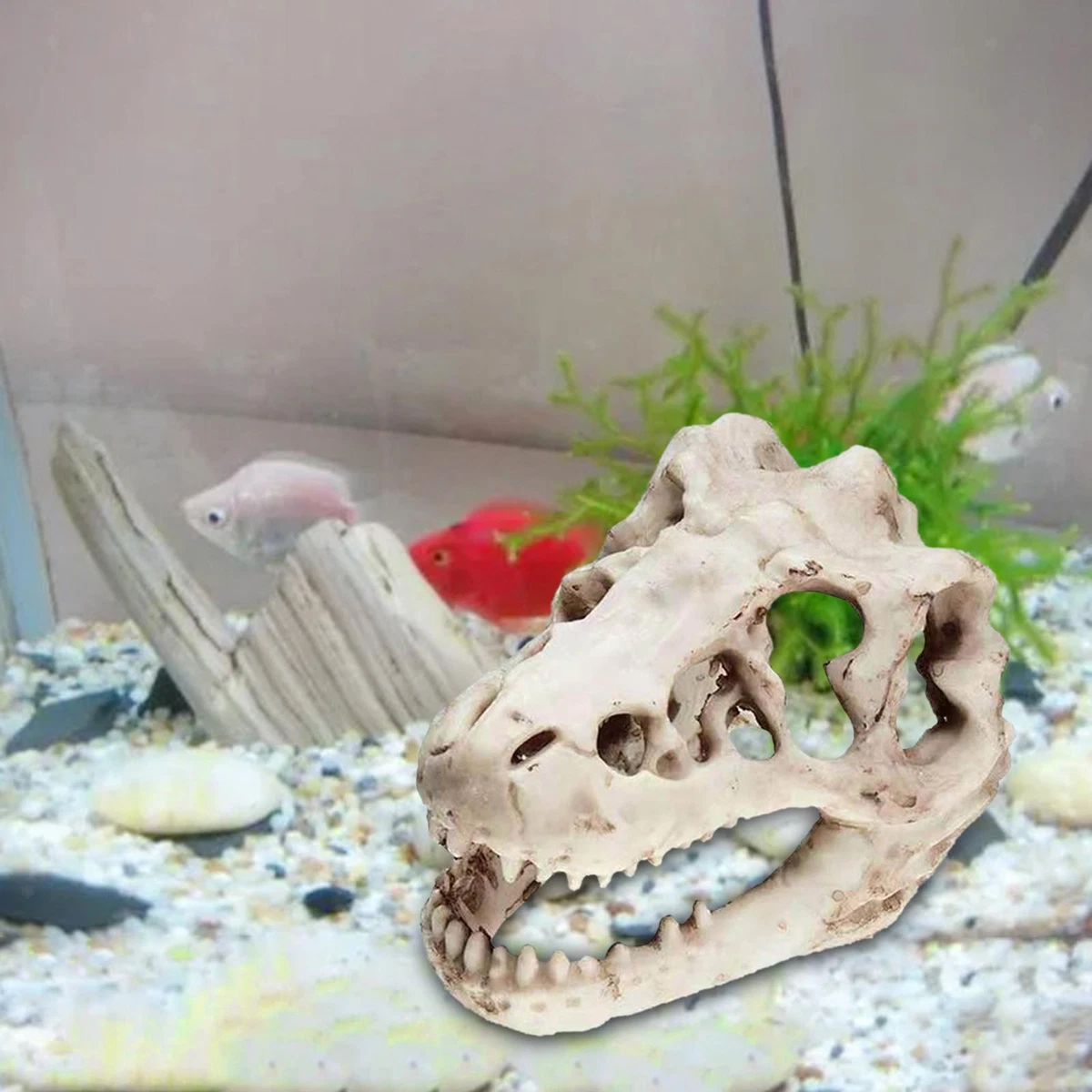Skull aquarium sale decorations